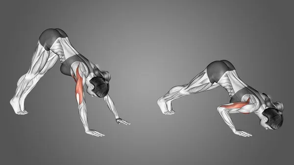 Benefits of Calisthenics: How Bodyweight Exercises Can Improve Your Health